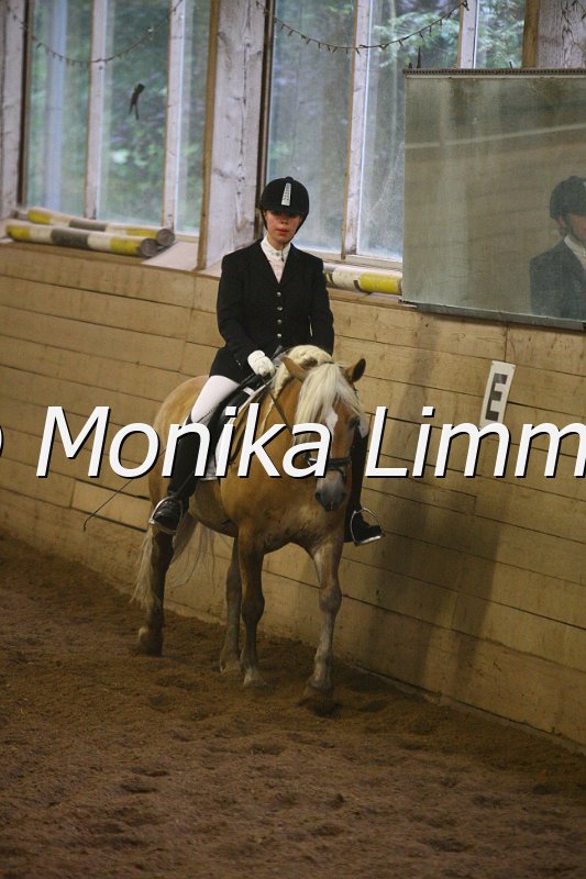 007L6951_Olivia_Dresspferde A.JPG